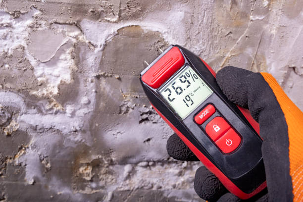 Professional Mold Remediation in Sumner, IA